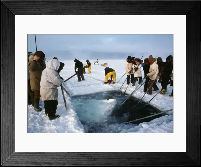 Framed Print : Picture No. 10857488 Framed Print : Picture No. 10857488
