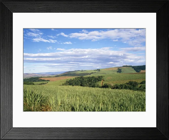 Framed Print : Picture No. 10857514 Framed Print : Picture No. 10857514