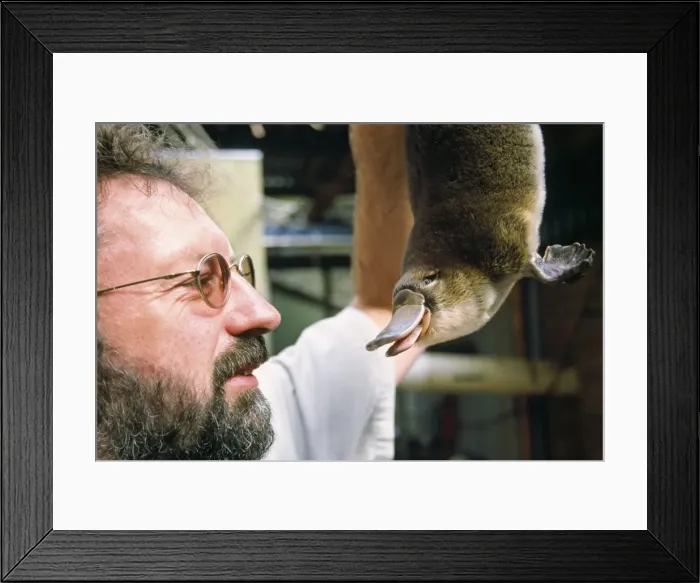 Framed Print : Picture No. 10857253 Framed Print : Picture No. 10857253