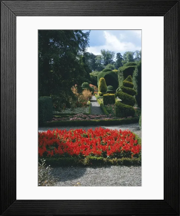 Framed Print : Picture No. 10857305