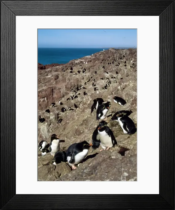 Framed Print : Picture No. 10857730 Framed Print : Picture No. 10857730