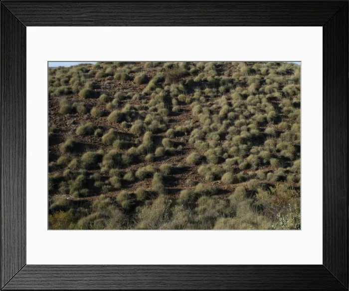 Framed Print : Picture No. 10858060 Framed Print : Picture No. 10858060