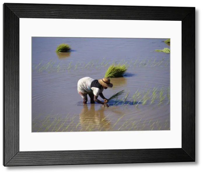 Framed Print : Picture No. 10855094 Framed Print : Picture No. 10855094