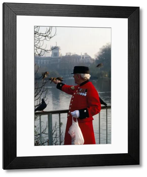 Framed Print : Picture No. 10853723 Framed Print : Picture No. 10853723