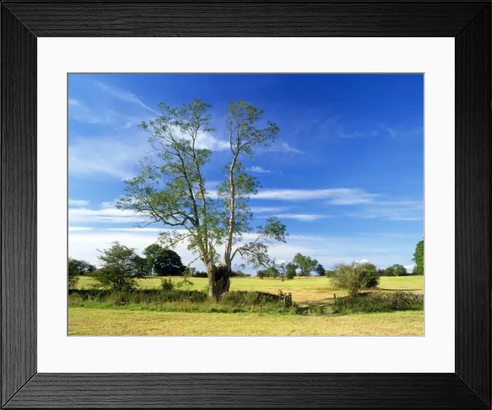 Framed Print : Picture No. 10857278