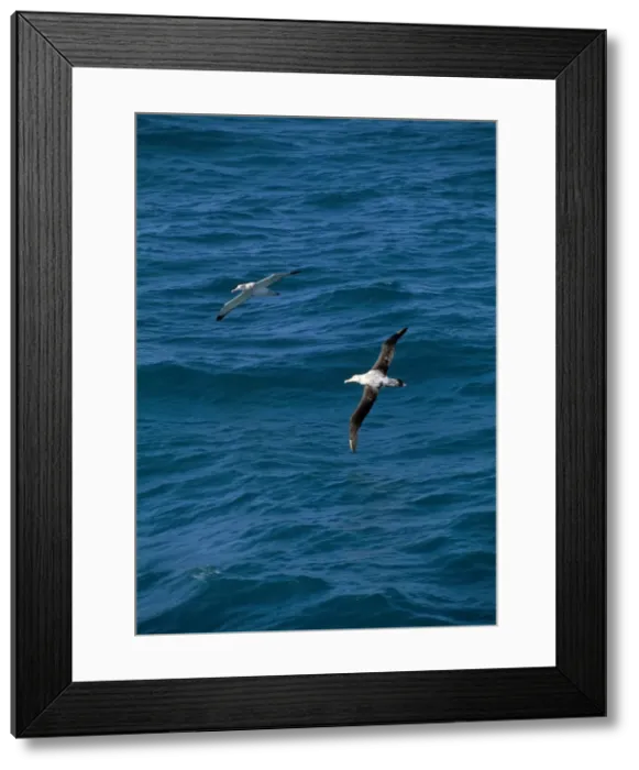 Framed Print : Picture No. 10852255 Framed Print : Picture No. 10852255