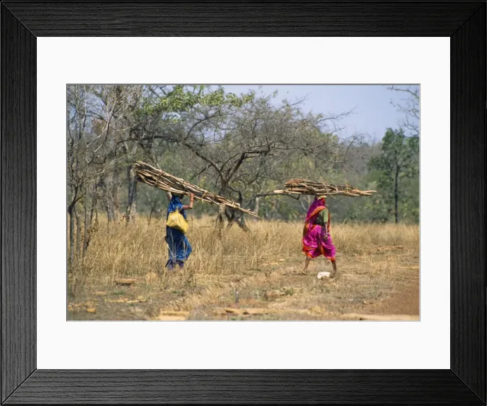 Framed Print : Picture No. 10857381 Framed Print : Picture No. 10857381