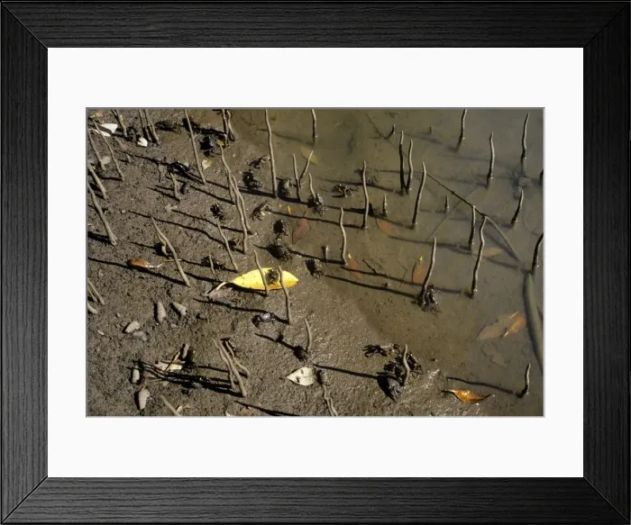 Framed Print : Picture No. 10854987 Framed Print : Picture No. 10854987