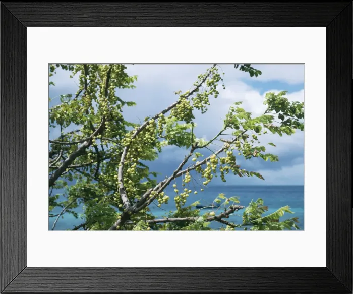 Framed Print : Picture No. 10857556 Framed Print : Picture No. 10857556
