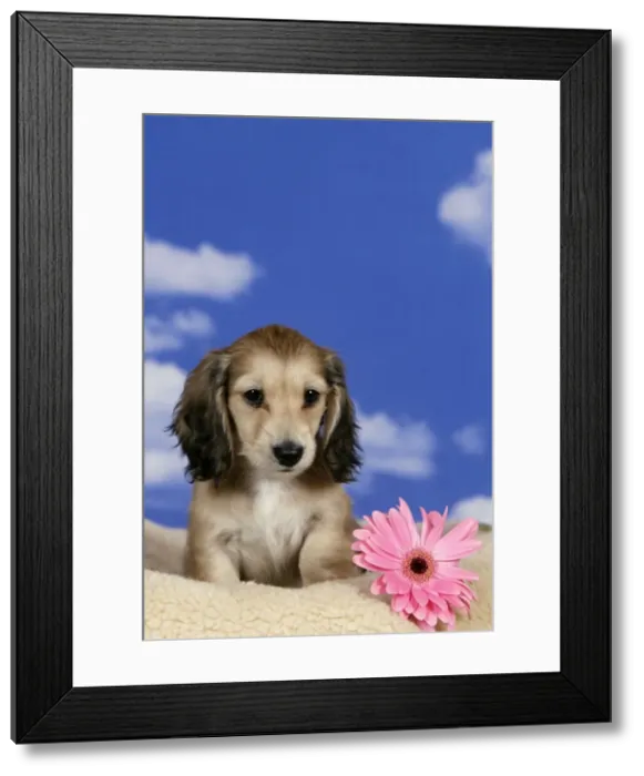 Framed Print : Picture No. 10867158 Framed Print : Picture No. 10867158