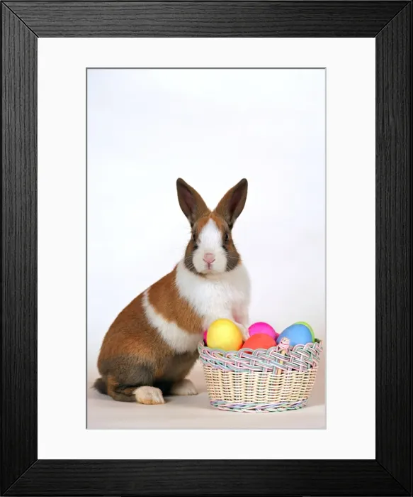 Framed Print : Picture No. 10865516 Framed Print : Picture No. 10865516