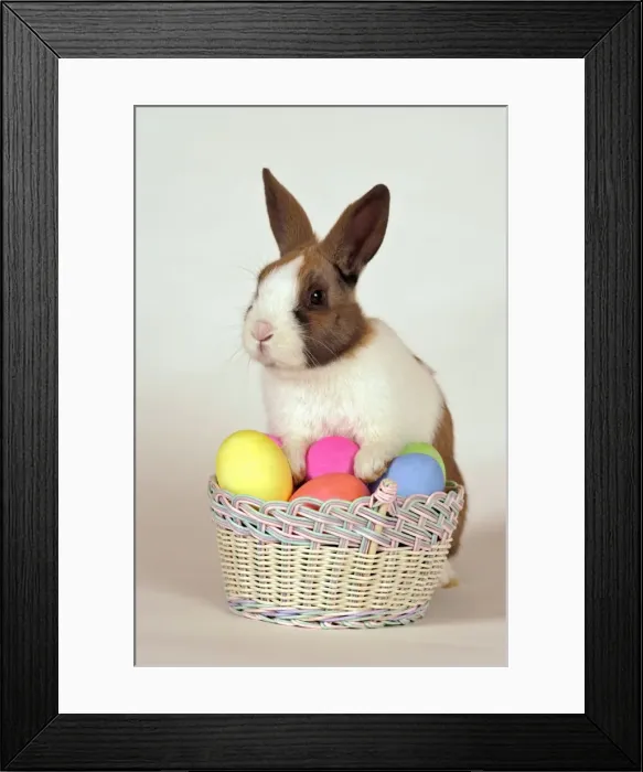 Framed Print : Picture No. 10865515 Framed Print : Picture No. 10865515