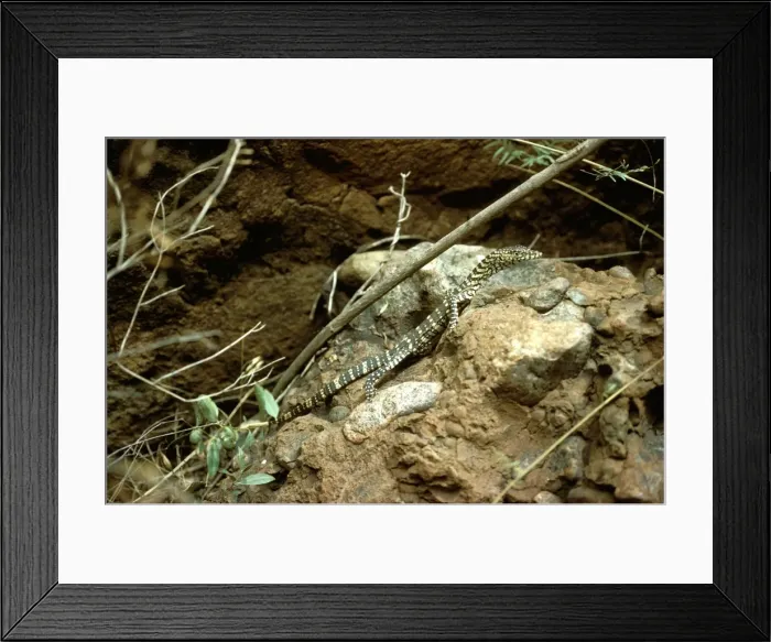 Framed Print : Picture No. 10865345 Framed Print : Picture No. 10865345