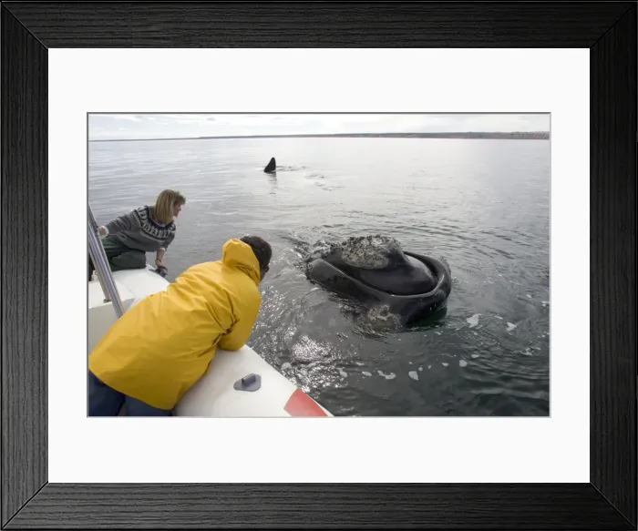 Framed Print : Picture No. 10865394 Framed Print : Picture No. 10865394