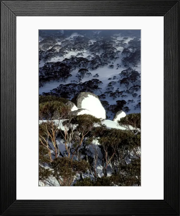 Framed Print : Picture No. 10865349 Framed Print : Picture No. 10865349
