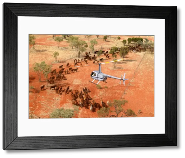Framed Print : Picture No. 10863272 Framed Print : Picture No. 10863272