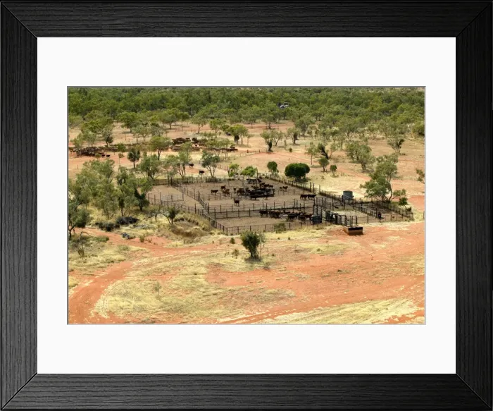 Framed Print : Picture No. 10863255 Framed Print : Picture No. 10863255