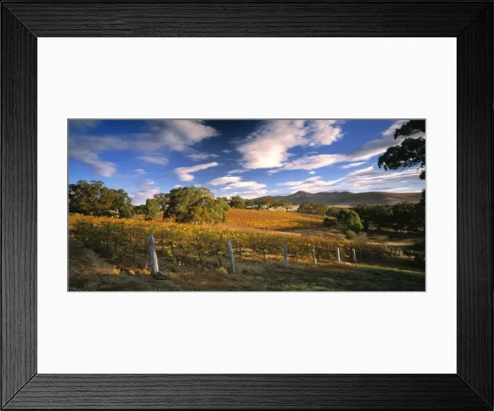 Framed Print : Picture No. 10863195 Framed Print : Picture No. 10863195