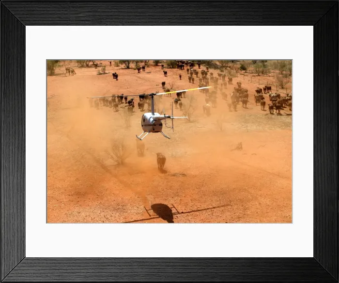 Framed Print : Picture No. 10863250 Framed Print : Picture No. 10863250