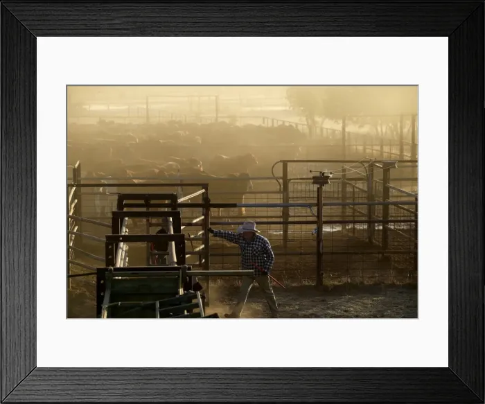 Framed Print : Picture No. 10863268 Framed Print : Picture No. 10863268