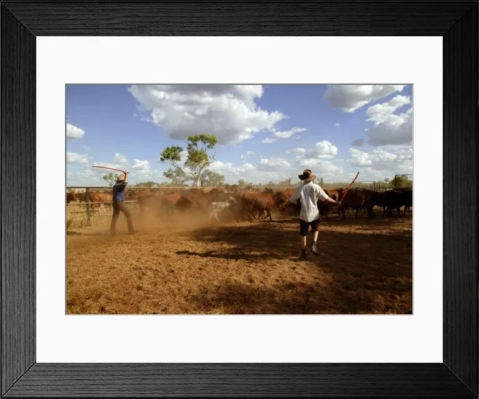 Framed Print : Picture No. 10863218 Framed Print : Picture No. 10863218