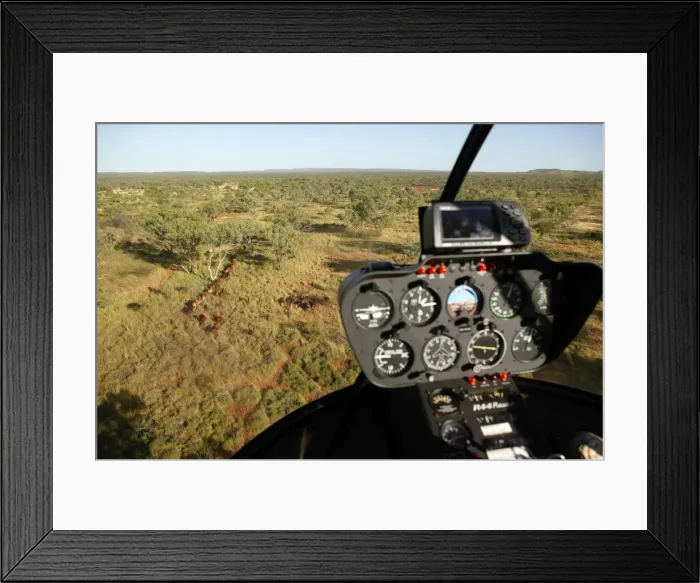 Framed Print : Picture No. 10863222 Framed Print : Picture No. 10863222