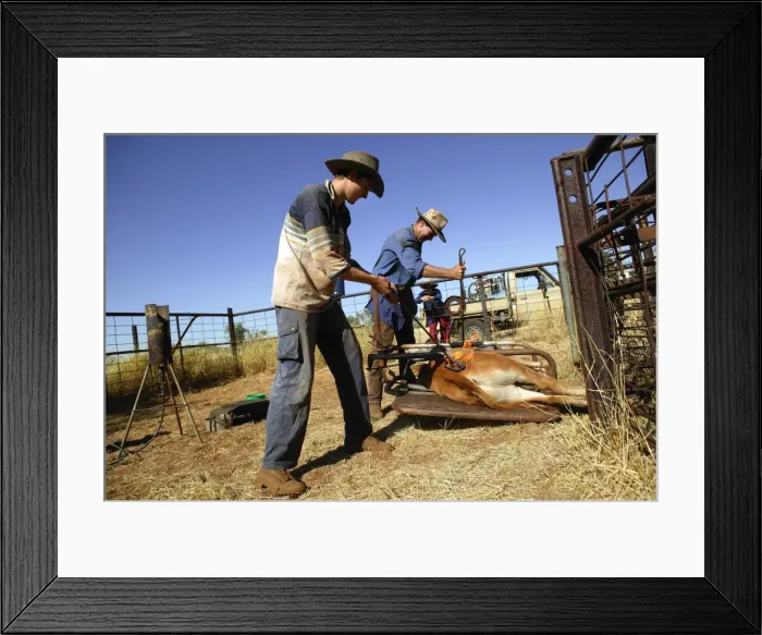 Framed Print : Picture No. 10863205 Framed Print : Picture No. 10863205