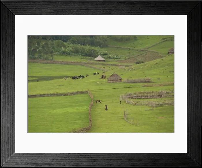 Framed Print : Picture No. 10877675 Framed Print : Picture No. 10877675