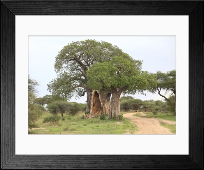 Framed Print : Picture No. 10882658 Framed Print : Picture No. 10882658