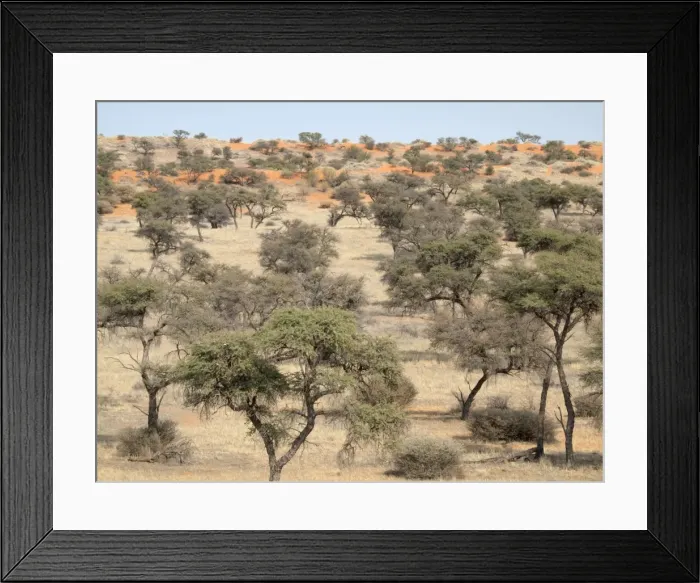 Framed Print : Picture No. 10882718 Framed Print : Picture No. 10882718