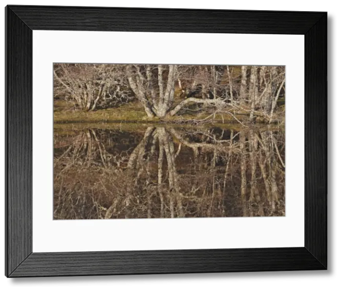 Framed Print : Picture No. 10882720 Framed Print : Picture No. 10882720