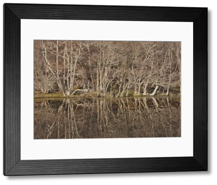 Framed Print : Picture No. 10882719 Framed Print : Picture No. 10882719
