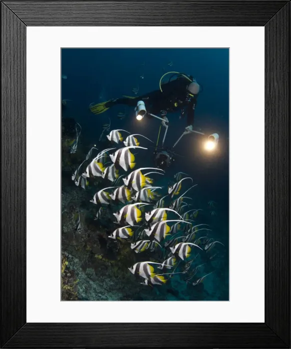Framed Print : Picture No. 10882846