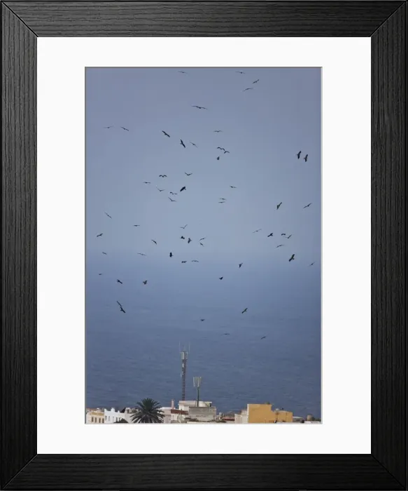 Framed Print : Picture No. 10876391