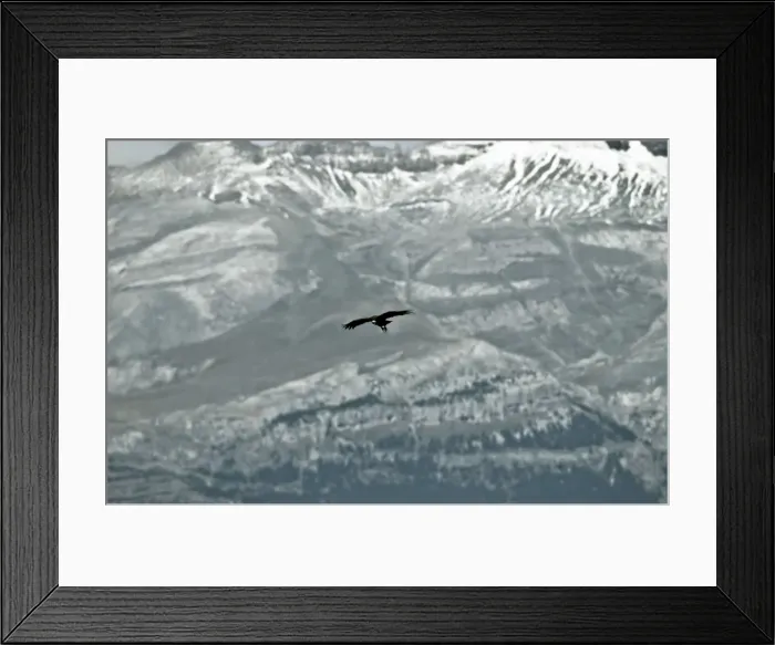Framed Print : Picture No. 10876404 Framed Print : Picture No. 10876404