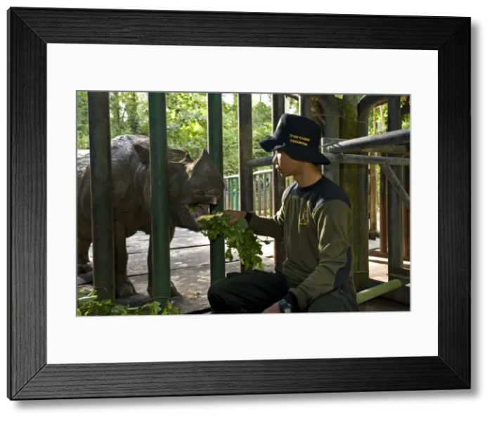 Framed Print : Picture No. 10880330 Framed Print : Picture No. 10880330