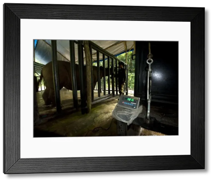 Framed Print : Picture No. 10880331 Framed Print : Picture No. 10880331