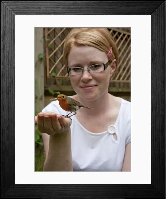 Framed Print : Picture No. 10877226 Framed Print : Picture No. 10877226