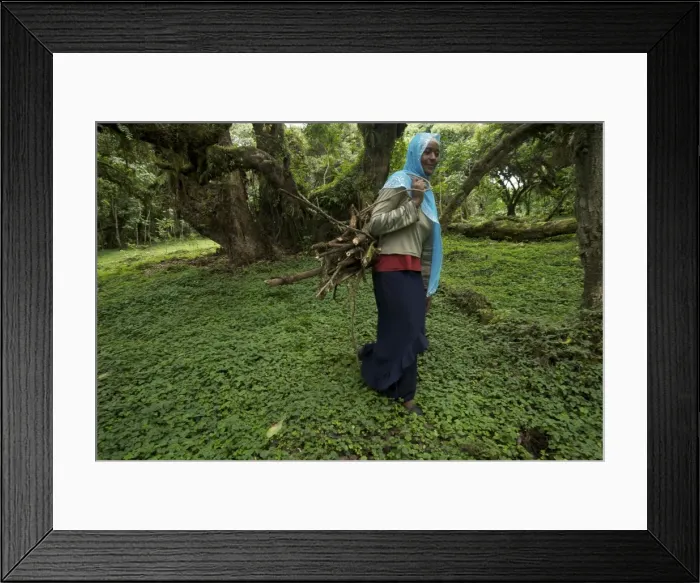 Framed Print : Picture No. 10877687 Framed Print : Picture No. 10877687