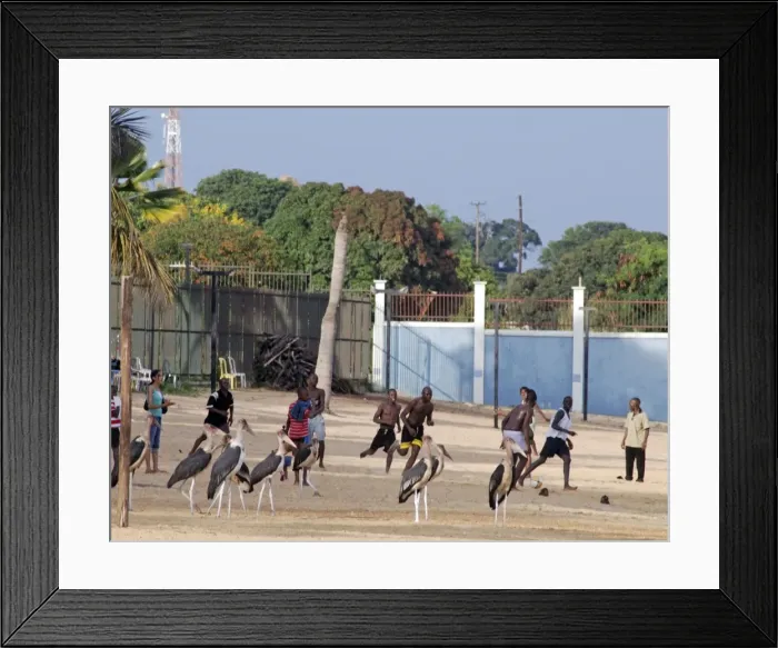 Framed Print : Picture No. 10879856 Framed Print : Picture No. 10879856