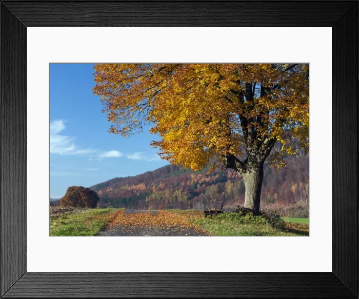 Framed Print : Picture No. 10887332 Framed Print : Picture No. 10887332