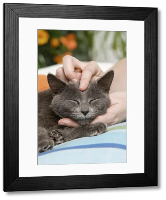 Framed Print : Picture No. 10887922 Framed Print : Picture No. 10887922