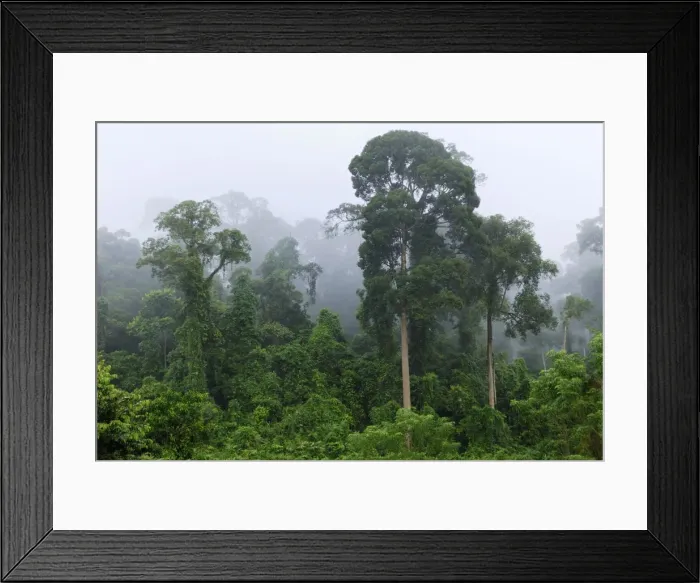 Framed Print : Picture No. 10750451