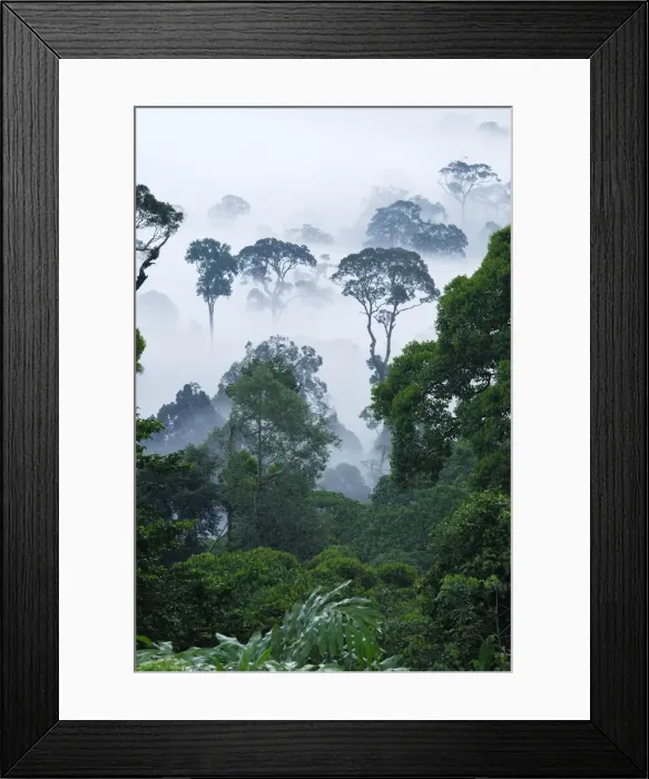 Framed Print : Picture No. 10750447 Framed Print : Picture No. 10750447