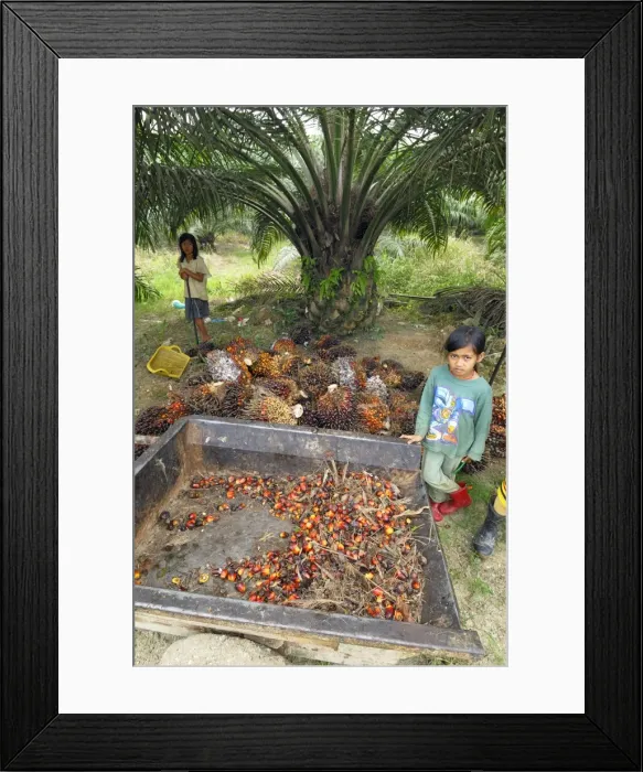 Framed Print : Picture No. 10750472