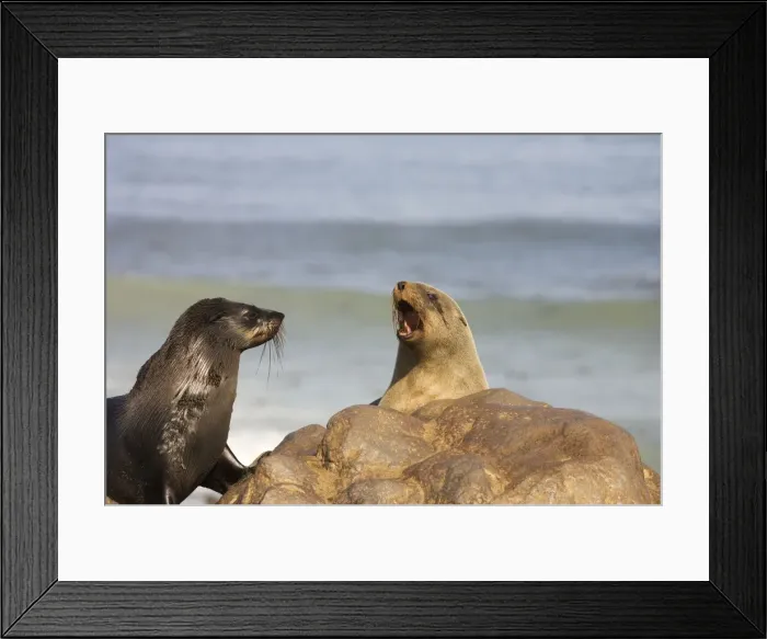 Framed Print : Picture No. 10761373 Framed Print : Picture No. 10761373