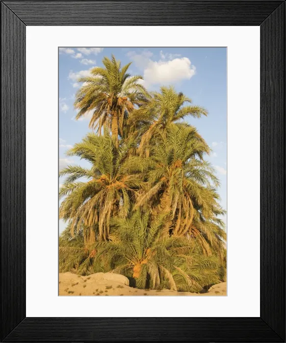 Framed Print : Picture No. 10761381 Framed Print : Picture No. 10761381