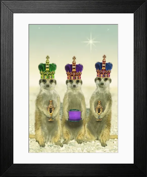 Framed Print : Picture No. 10761560 Framed Print : Picture No. 10761560
