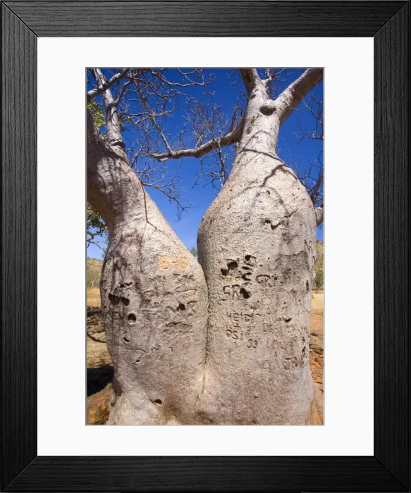 Framed Print : Picture No. 10758506 Framed Print : Picture No. 10758506