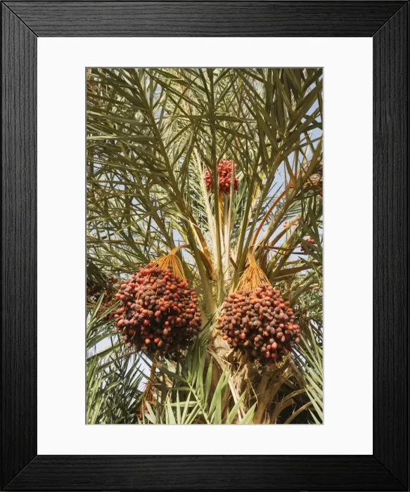 Framed Print : Picture No. 10761384 Framed Print : Picture No. 10761384